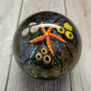 Cathy Richardson 2007 Starfish on Ocean Floor Lampwork Art Glass Paperweight